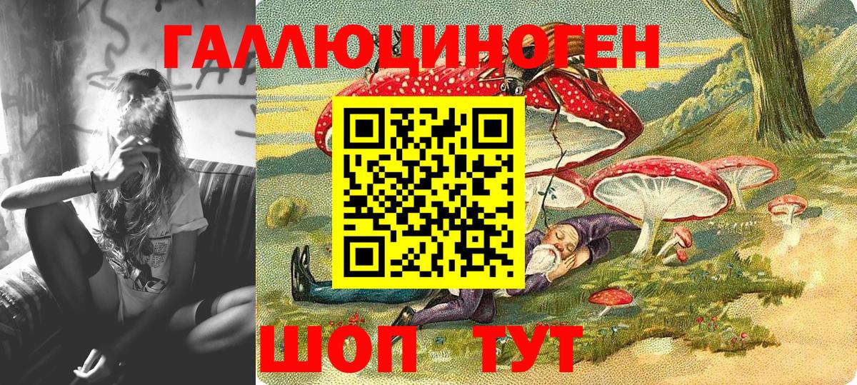 Псилоцибиновые грибы Psilocybine cubensis  Вход с VPN  Ахтубинск 